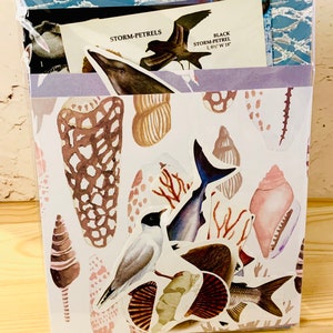 May include: A set of stickers featuring various sea creatures, including a shark, a bird, and a fish. The stickers are on a white background with a pink and brown pattern. The stickers are labeled "STORM-PETRELS" and "BLACK STORM-PETREL L 8 1/2" W 18"