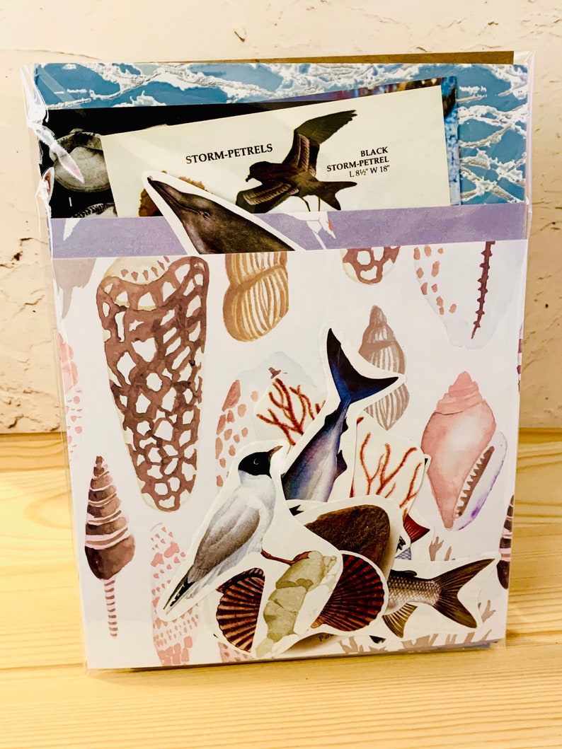 May include: A set of stickers featuring various sea creatures, including a shark, a bird, and a fish. The stickers are on a white background with a pink and brown pattern. The stickers are labeled "STORM-PETRELS" and "BLACK STORM-PETREL L 8 1/2" W 18"