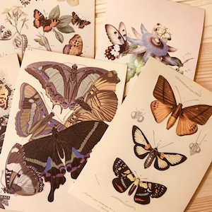 Random 3 butterfly postcards, mystic postcards, insect postcards, Forest postcards, magical postcards, curio postcards, junk journal supply