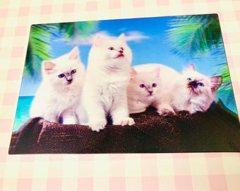 Cute baby white kittens, sweet 3D kitten postcard, silly snail mail cards, kawaii kitten postcards, 3D print animal postcard, postcrossing