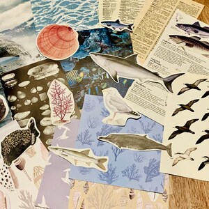 May include: A collection of colorful paper scraps with various sea life illustrations, including a shark, fish, seashells, and coral. The papers are arranged on a wooden surface.