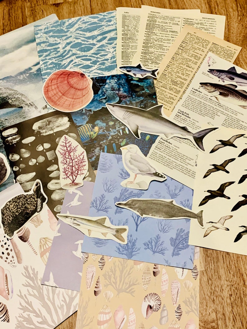 May include: A collection of colorful paper scraps with various sea life illustrations, including a shark, fish, seashells, and coral. The papers are arranged on a wooden surface.