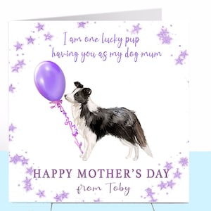 Carte de fête des mères border collie chien momie, chien de berger, carte chien, carte personnalisée de fête des mères, maman chien, amoureux des chiens, maman chien, maman chien
