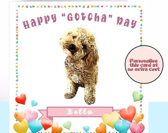 Poochon  'Gotcha' Day Card, Poochon, Dog Card, Personalised Card, Dog Lover, Card For The Dog Dog Birthday Dog Adoption Dog Birthday