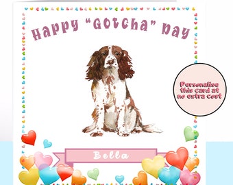 Springer Spaniel 'Gotcha' Day Card, Springer Spaniel, Dog Card, Personalised Card, Dog Lover, Card For The Dog, Dog Birthday, Dog Adoption