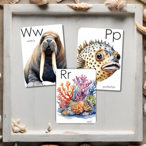 Cartes océan alphabet
