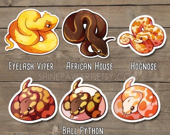 Cute Snake Sticker Set - Ball Python Eyelash Viper Corn Snake Hognose Snake African House Snake Blue Eyed Lucy Palemetto