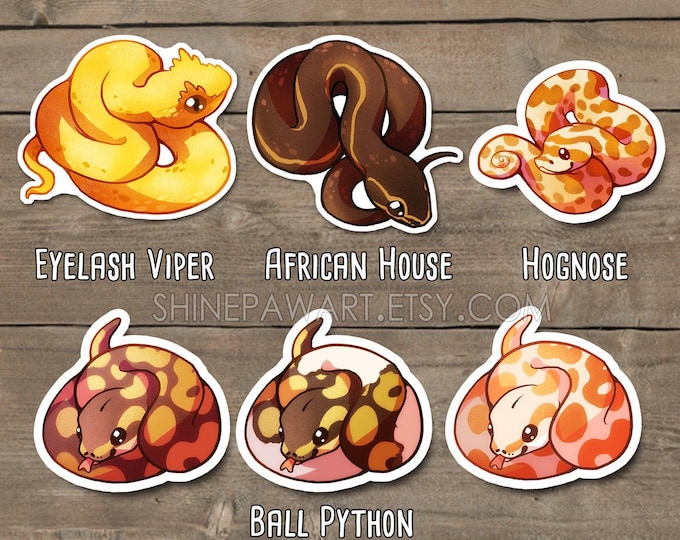 Cute Snake Sticker Set Ball Python Eyelash Viper Corn Snake - Etsy
