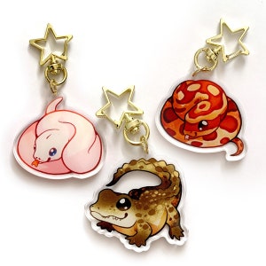 Reptile Keychain Charm Set 2 - Clear Double Sided Acrylic Keychain Charms with Golden Star Keyring