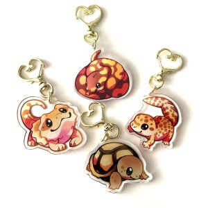 Reptile Keyring Charm Set - Clear Double Sided Acrylic Keyring Charms with Epoxy coating and Golden Heart Keyring