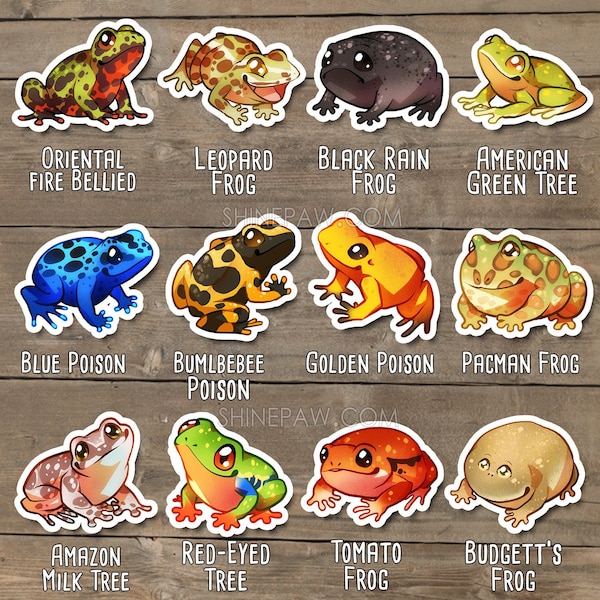 Cute Frog Sticker Set - Poison Dart Frog Oriental Fire Bellied Amazon milk Tree Frog Pacman Frog Black Rain Frog Leopard Frog