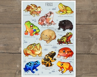 Cute Frogs Art Print - Frog Drawing Print on Premium Matte Paper - Poison Dart Frog Oriental Fire Bellied Amazon milk Tree Frog Pacman Frog