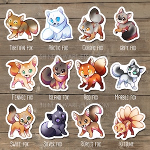 Cute Wild Cat Sticker Set