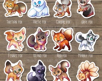 Cute Fox Sticker Set - Red fox, arctic fox, kitsune, fennec, gray fox, marble fox, swift fox, island fox, corsac fox, tibetian fox, silver