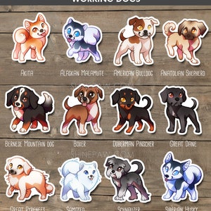 Cute Dog Sticker Set - Husky Akita Bulldog Samoyed Boxer Doberman Malamute Bernese Border Collie Corgi Puli German Shepherd Belgian Sheepdog