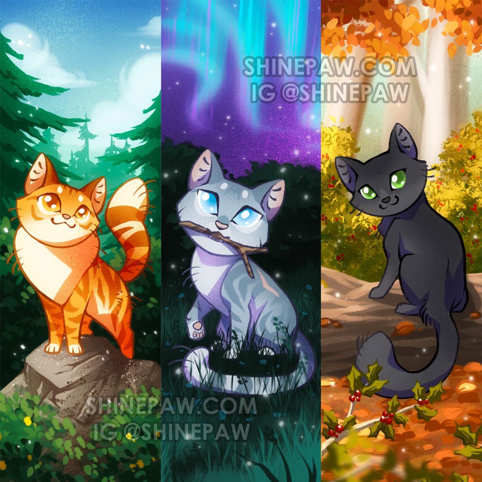 Power Of Three Bookmark Set Warrior Cats Printed On Premium Board Power Of Three Bookmark Set Warrior Cats Printed On Premium Board