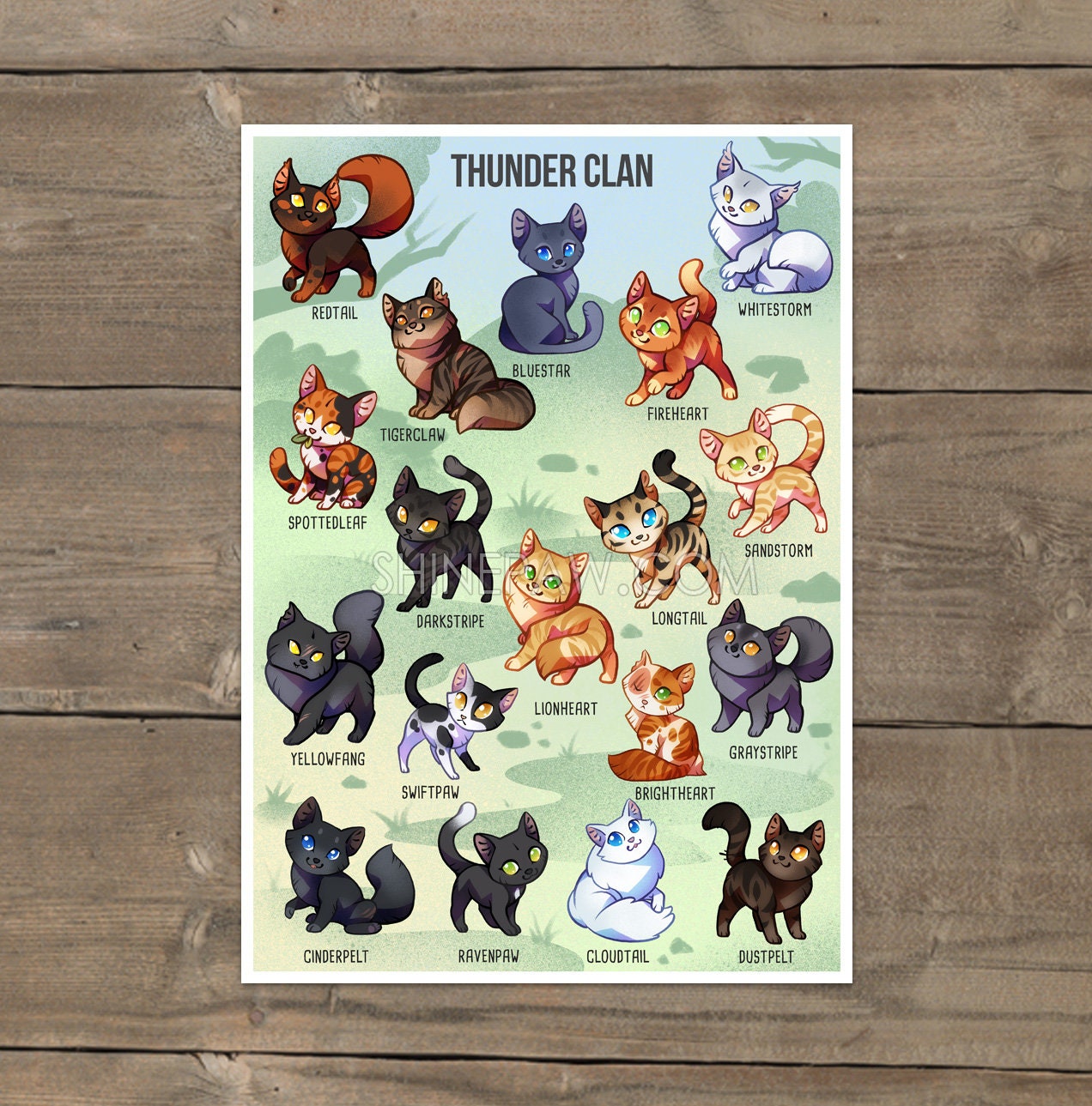 Warrior Cats: Glossary, Warrior Cats Guide