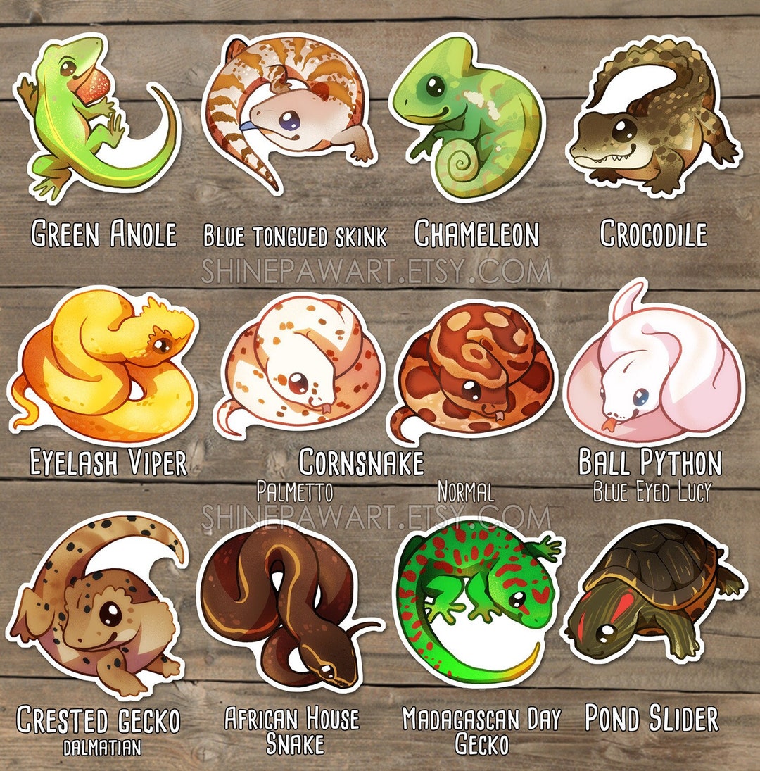 Cute Reptiles Sticker Set - Bearded dragon, Crested gecko, Tortoise,  Leopard gecko, Crocodile skink, Bally python, Hognose Snake