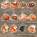 Cute Reptiles Sticker Set - Bearded dragon, Crested gecko, Tortoise, Leopard gecko, Crocodile skink, Bally python, Hognose Snake