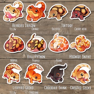 Cute Reptiles Sticker Set - Bearded dragon, Crested gecko, Tortoise, Leopard gecko, Crocodile skink, Bally python, Hognose Snake