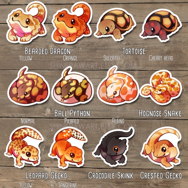 Cute Reptiles Sticker Set - Bearded dragon, Crested gecko, Tortoise, Leopard gecko, Crocodile skink, Bally python, Hognose Snake