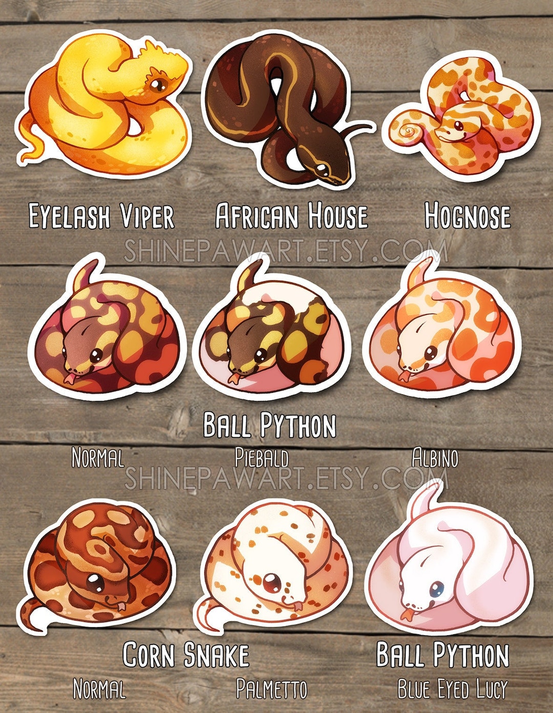 Cute Snake Sticker Set - Ball Python Eyelash Viper Corn Snake Hognose ...