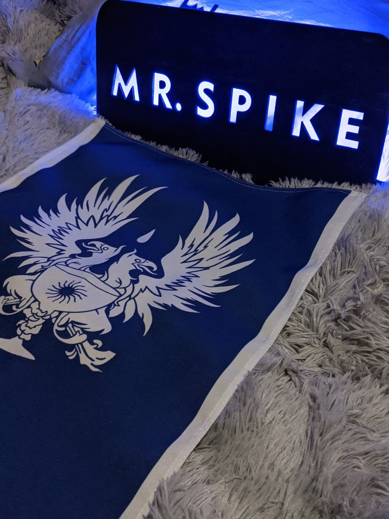 May include: A blue fabric flag with a white stylized eagle design. The flag is on a white fluffy surface. A black sign with white letters reads "MR. SPIKE" in all caps.