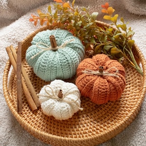 May include: A woven tray holds three knitted pumpkins in shades of seafoam green, orange, and white, each with a cinnamon stick stem. The tray also contains cinnamon sticks and decorative fall foliage, creating a cozy autumn theme.