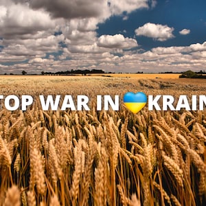 May include: A scenic landscape of a wheat field under a cloudy sky. The image features the text "STOP WAR IN UKRAINE" with a blue and yellow heart, symbolizing the Ukrainian flag.