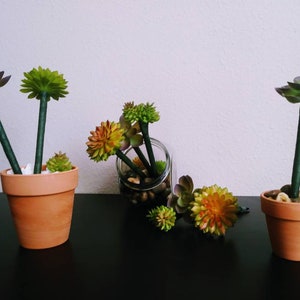 Succulent flower pen set-Office desk decor-back to school-plant lover-Unique gift-teacher gift idea-teacher supplies-desk organizer