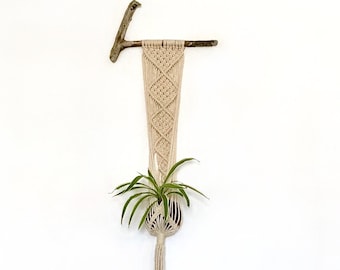 Macrame Plant Hanger Tutorial - Chelonia MYDAS
