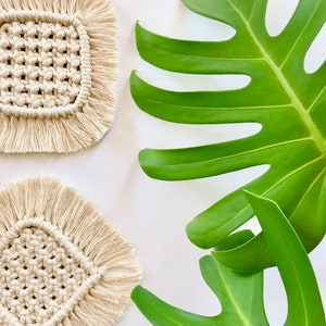 Macrame Under Glass Tutorial - Testudo KLEINMANNI