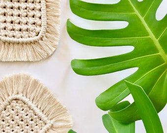 Macrame Under Glass Tutorial - Testudo KLEINMANNI