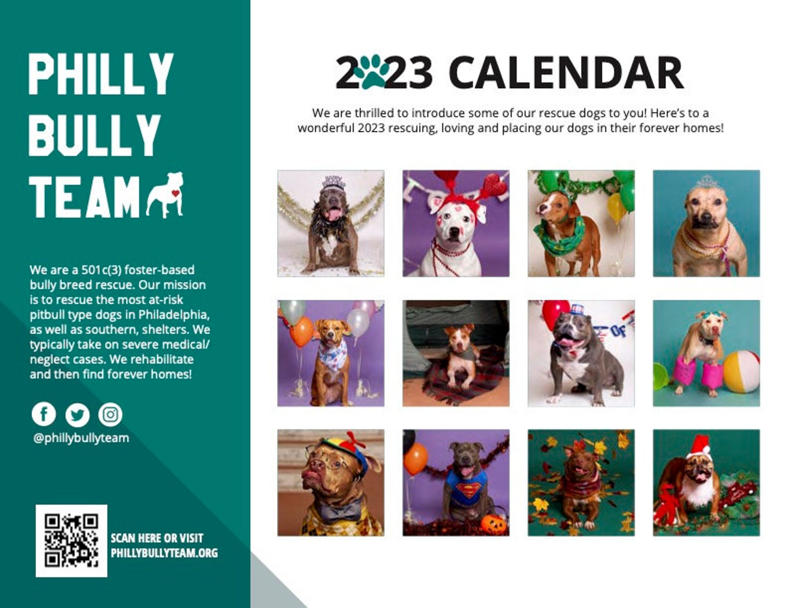 2023 Philly Bully Team Calendar Etsy