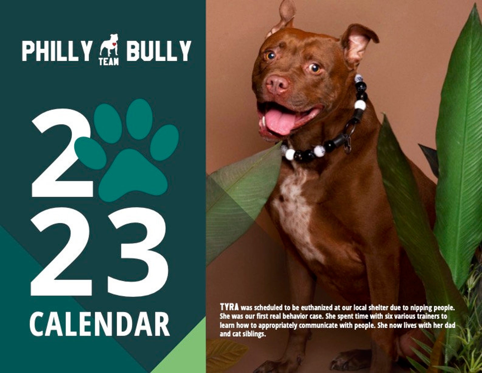 2023 Philly Bully Team Calendar Etsy