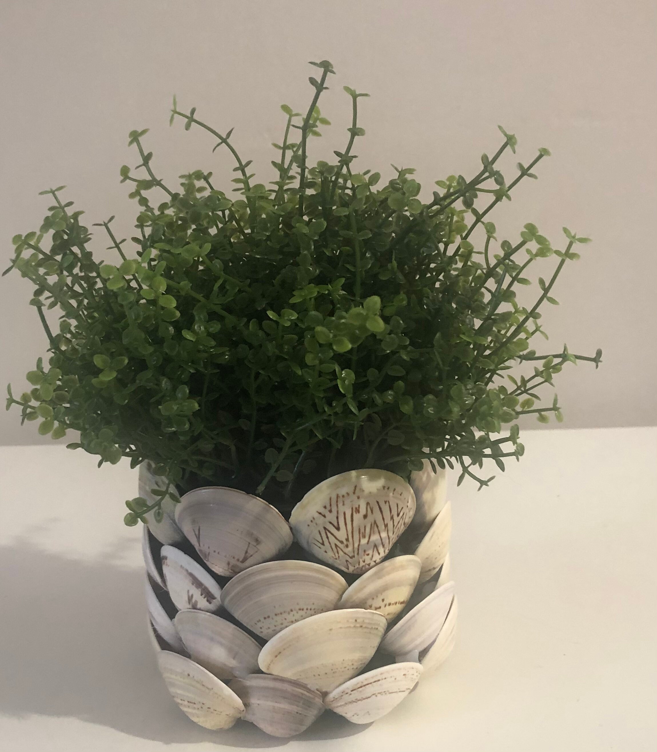 Seashell Flower Pot Etsy