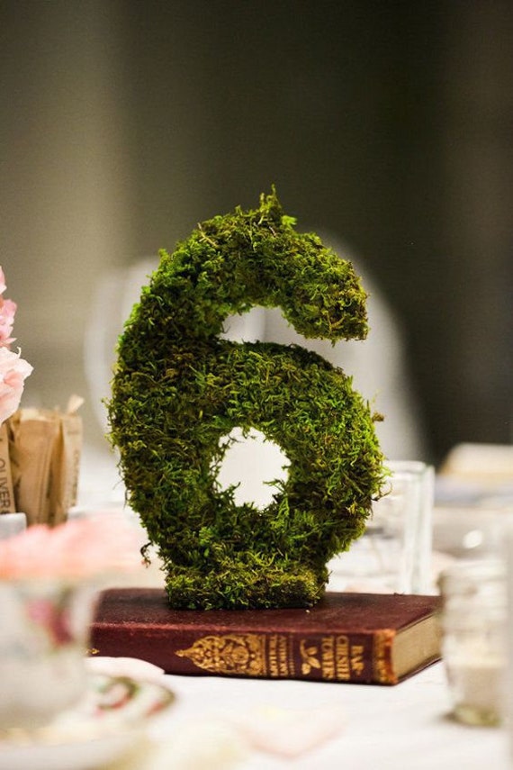 Moss Number Wedding Table Number Eco Friend Decor Fairy Etsy