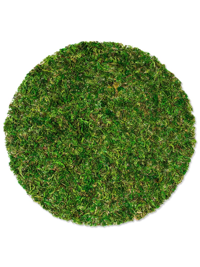 Round Moss Mat centerpiece placemat Preserved moss Real Etsy