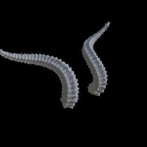 STL Straight Dragon Horn 3D Model
