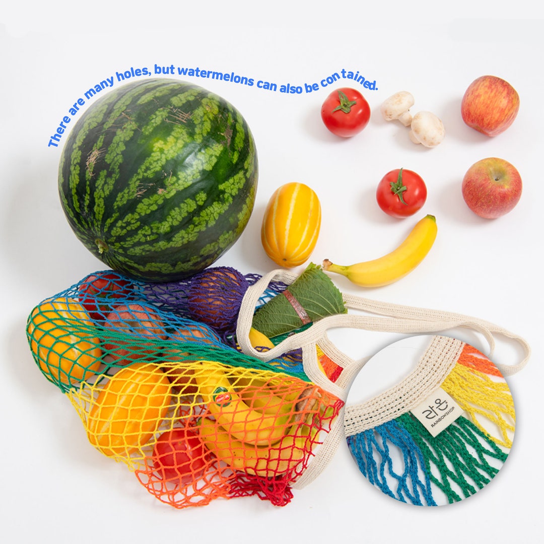 Rainbow Mesh Bagqueerlgbtpride Goods Etsy