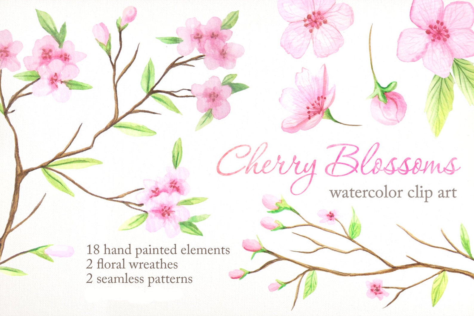 Цветы вишни акварель фон. Цветущая вишня акварель скетч. Watercolor Cherry Blossom Floral and leaves Card. Hand drawn Watercolor Cherry Blossom Invitation Card Template.