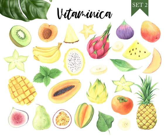 36+ Picture Of Mango Fruit Clipart Pictures