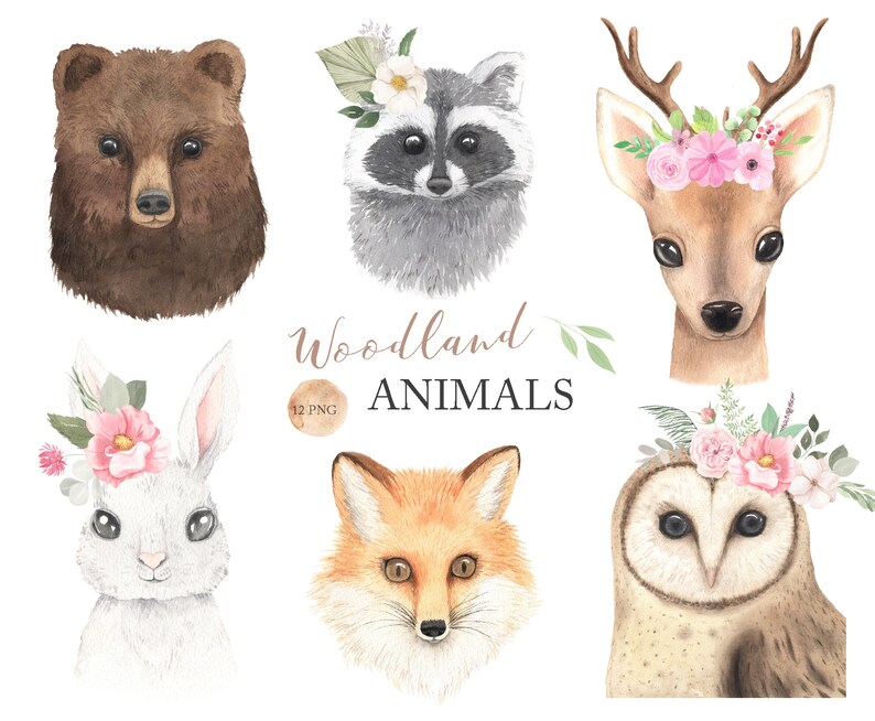 Watercolor Woodland Animals Clipart. Nursery art wall decor. | Etsy