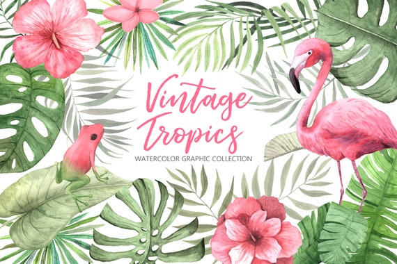 Hibisicus flower clipart instant download digital file tropical floral summer watercolor png