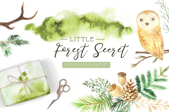 Download Watercolor Owl Woodland Clipart Owl Bird Pine Cones Etsy