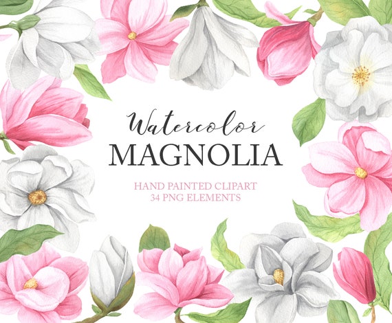 Download Watercolor Magnolia Flowers Clipart Summer Floral Clip Art Etsy