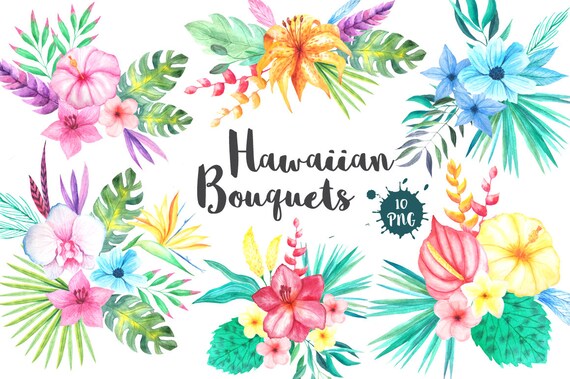 Hibisicus flower clipart instant download digital file tropical floral summer watercolor png