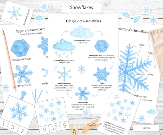 Snowflake Winter Unit Study. Printable Snow Life Cycle