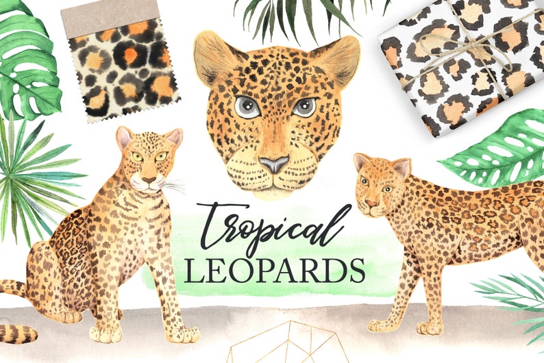 Watercolor Tropical Leopard Animal Clipart. Leopard Cat and | Etsy