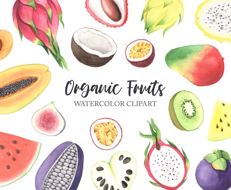 Clipart de fruits tropicaux à l'aquarelle. Pastèque de Etsy